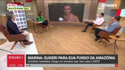 retomada-do-fundo-amazonia-ajuda-no-combate-ao-desmatamento-e-desenvolvimento-sustentavel-na-regiao,-dizem-entidades