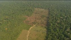 conselho-da-amazonia-se-reune-pela-1a-vez-no-ano,-mas-nao-adota-novas-acoes-contra-desmatamento