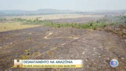 ‘pessimos,-horrorosos’,-diz-mourao-sobre-dados-de-alerta-de-desmatamento-na-amazonia-em-abril